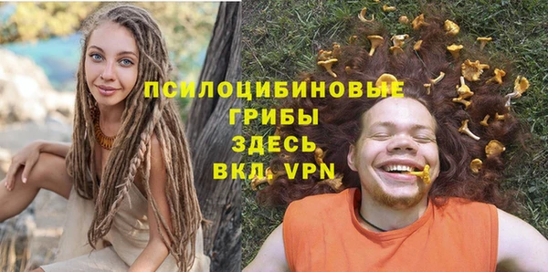 крисы Алексеевка