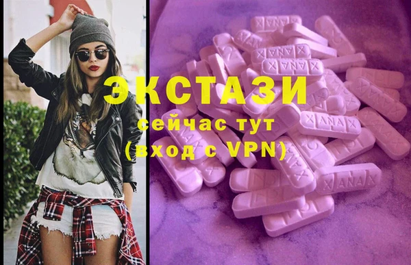 СК Алексин
