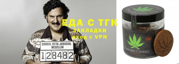 СК Алексин