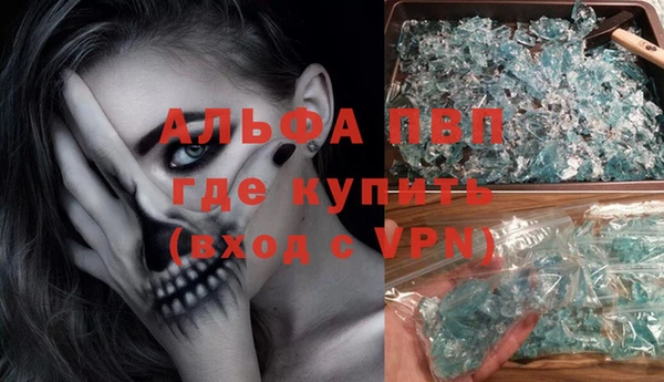 СК Алексин